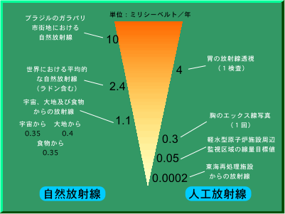 퐶ɂː̔r