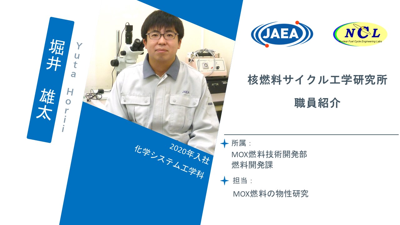 西野 紗樹 平成29年入社 若手職員紹介 国立研究開発法人日本原子力研究開発機構 核燃料サイクル工学研究所