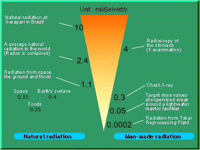 A Comparison of Radiation in Our Everyday Lives