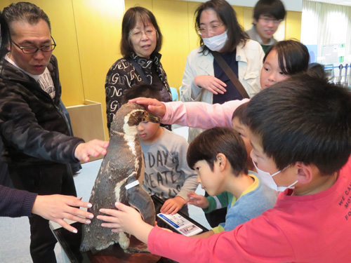 達人と話そう！ペンギンの達人