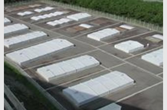 Waste Storage Facility No. 1: Waste Storage Facilities M-1and M-2
