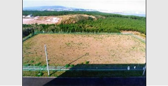 Overview of the Disposal Facility Covered with Soil (1997)