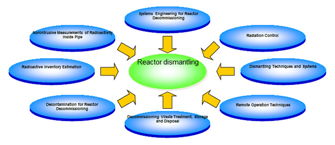Reactor Decommissioning Technology Development(JPDR)