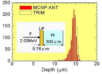 Development of the Monte Carlo code system (MCNP-ANT)