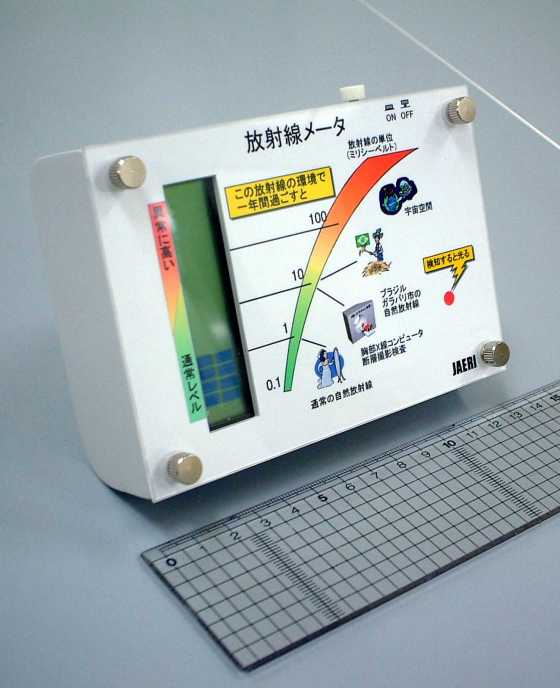 Fig.4 Photograph of the developed radiation meter