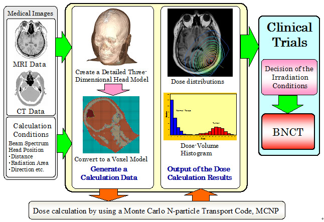 Development of a dose planning system for boron neutron capture therapy (BNCT)