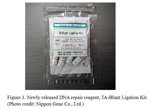 Figure 3. Newly released DNA repair reagent, TA-Blunt Ligations Kit.