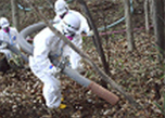 Situation relating to the Accident of the Fukushima NPP