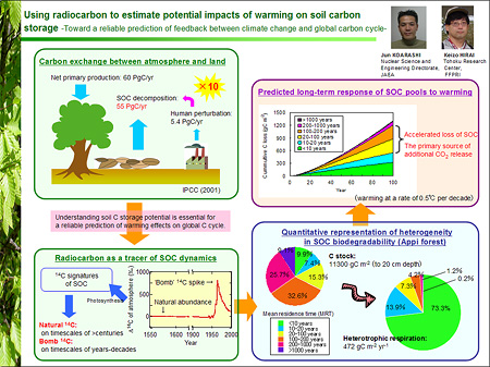 Using radiocarbon to estimate potential impacts of warming on soil carbon storage