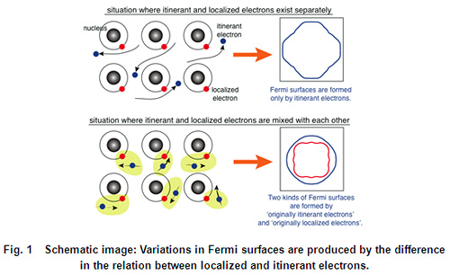 Fig.1  Schematic image: Variations in Fermi surfaces are produced by the difference in the relation between localized and itinerant electrons.