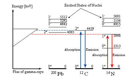 Fig.1