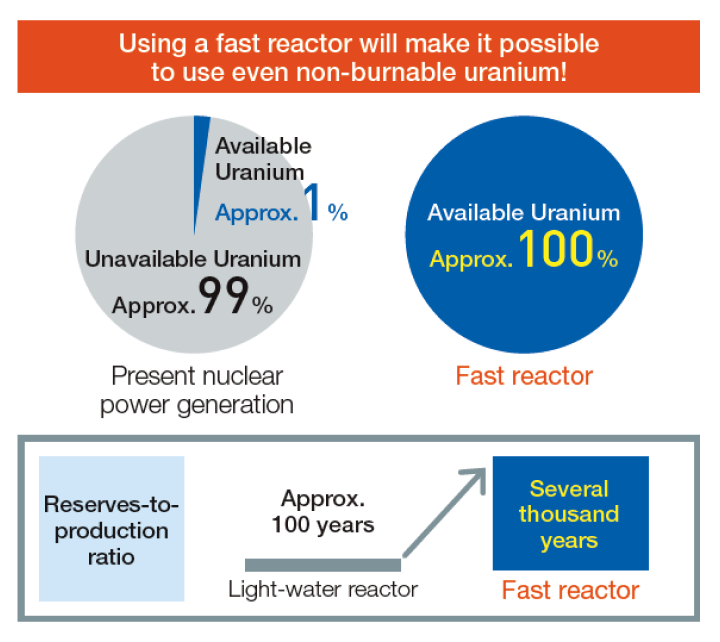 Figure: Establishment of a fast reactor cycle