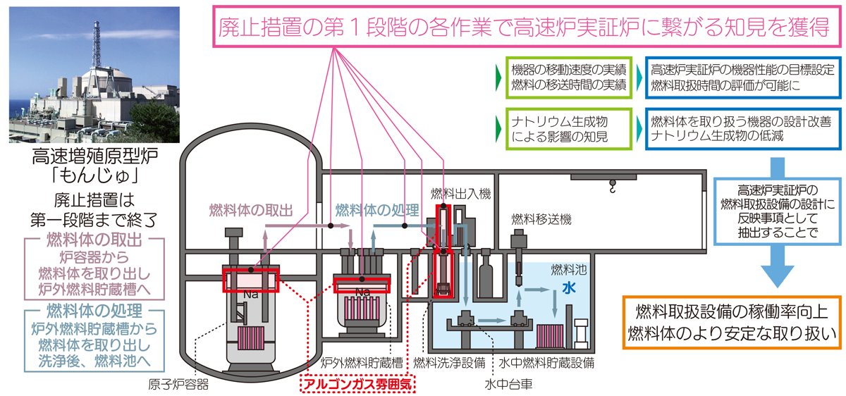 高速増殖原型炉「もんじゅ」廃止措置で得た知見を高速炉実証炉の設計に