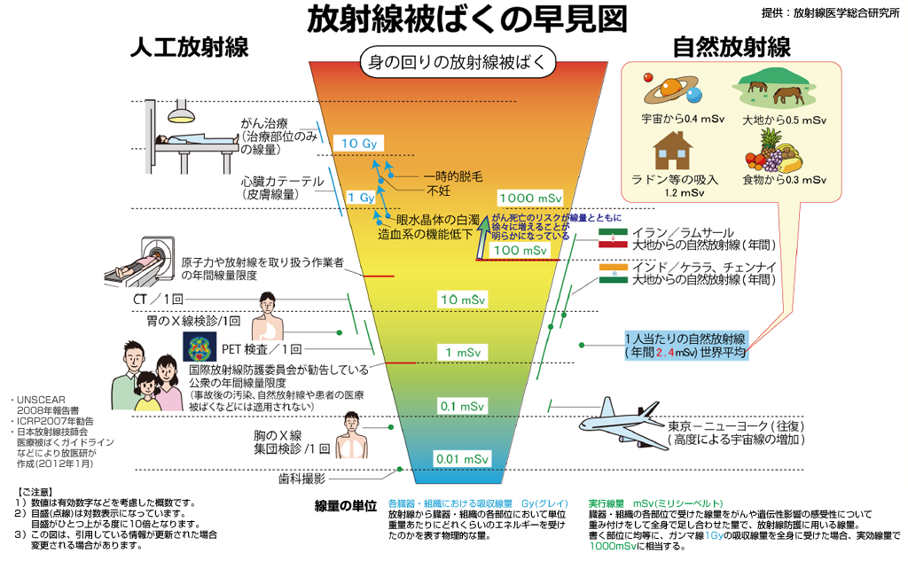 放射線被ばくの早見表